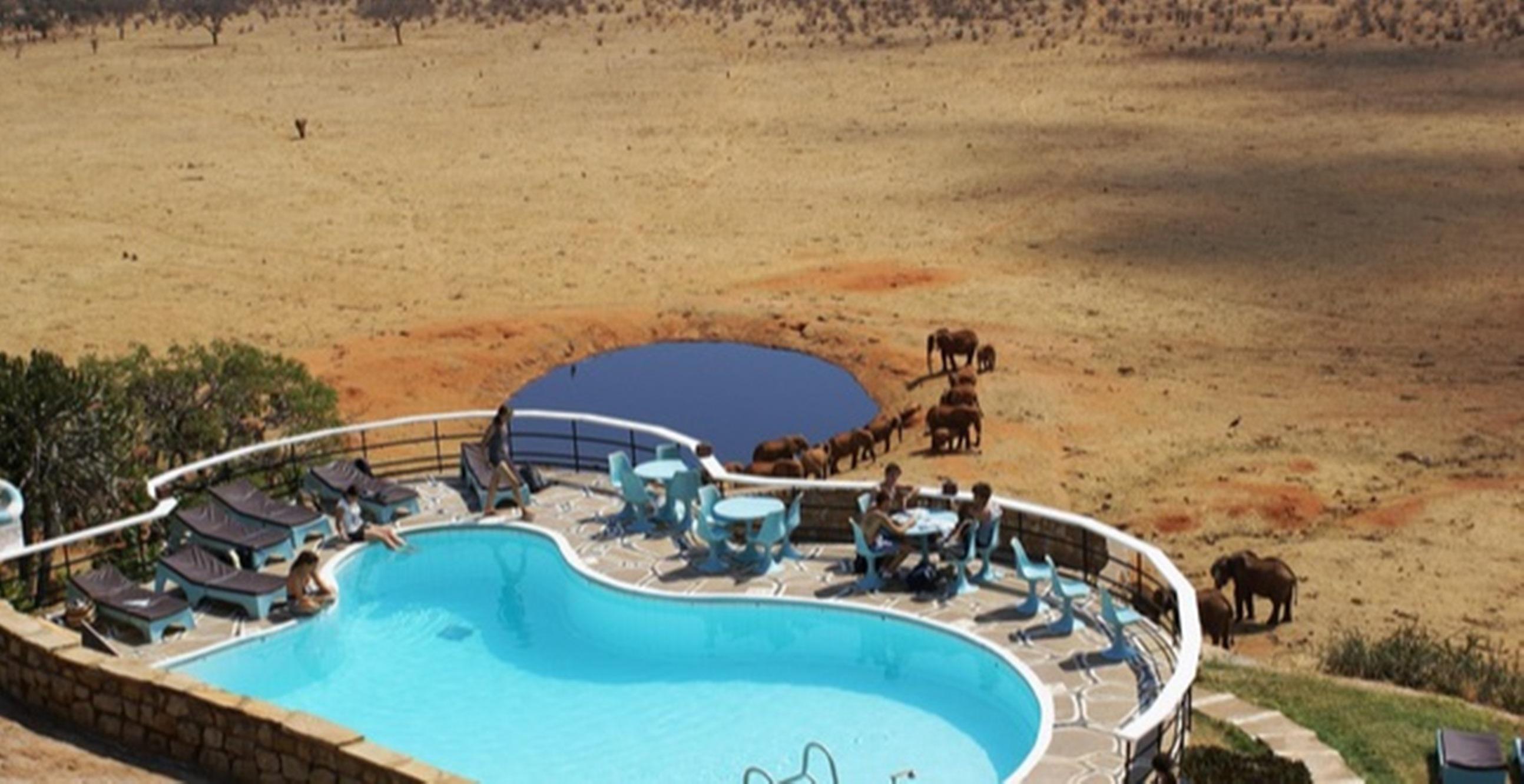 Voi Safari Lodge Экстерьер фото